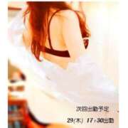 ヒメ日記 2025/05/25 08:26 投稿 白石湊 五十路マダム　和歌山店