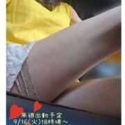 ヒメ日記 2025/09/13 16:54 投稿 白石湊 五十路マダム　和歌山店