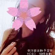 ヒメ日記 2025/11/08 17:48 投稿 白石湊 五十路マダム　和歌山店