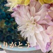 ヒメ日記 2026/08/16 01:08 投稿 白石湊 五十路マダム　和歌山店