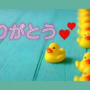 ヒメ日記 2026/09/30 02:14 投稿 白石湊 五十路マダム　和歌山店
