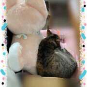 ヒメ日記 2025/05/22 10:23 投稿 けいこ 西川口淑女館