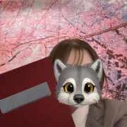 ヒメ日記 2025/03/28 10:22 投稿 くう NEO不夜城