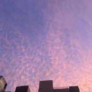 ヒメ日記 2025/10/08 20:37 投稿 井上 あなたに逢いたくて