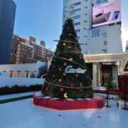 ヒメ日記 2024/12/22 16:43 投稿 りのは 奥様はエンジェル　町田店