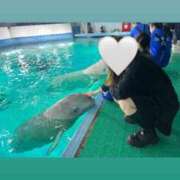 ヒメ日記 2025/03/26 14:15 投稿 りのは 奥様はエンジェル　町田店