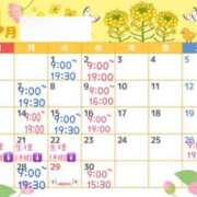 ヒメ日記 2025/03/31 08:21 投稿 しいな 奥様さくら難波店