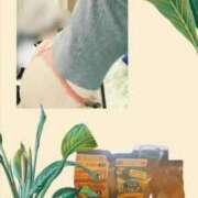 ヒメ日記 2025/04/10 17:47 投稿 しいな clubさくら難波店