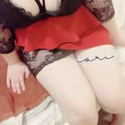 ヒメ日記 2024/12/10 18:30 投稿 いおり SUZUME