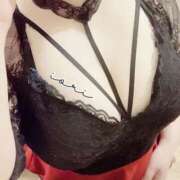 ヒメ日記 2025/01/10 09:33 投稿 いおり SUZUME