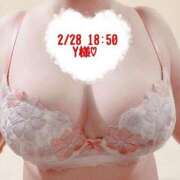 ヒメ日記 2025/02/28 20:32 投稿 いおり SUZUME