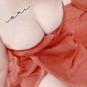 ヒメ日記 2025/03/01 12:01 投稿 いおり SUZUME