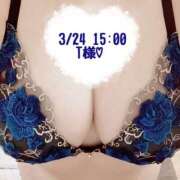 ヒメ日記 2025/03/24 18:09 投稿 いおり SUZUME