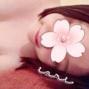 ヒメ日記 2025/04/07 14:13 投稿 いおり SUZUME