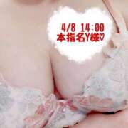 ヒメ日記 2025/04/08 15:22 投稿 いおり SUZUME