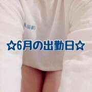 ヒメ日記 2025/05/31 12:03 投稿 いおり SUZUME