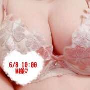 ヒメ日記 2025/06/08 14:35 投稿 いおり SUZUME