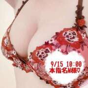 ヒメ日記 2025/09/15 12:30 投稿 いおり SUZUME