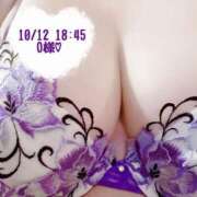 ヒメ日記 2025/10/12 20:25 投稿 いおり SUZUME