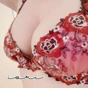 ヒメ日記 2025/11/29 12:00 投稿 いおり SUZUME