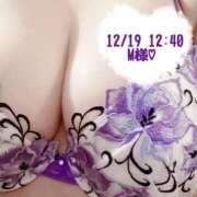 ヒメ日記 2025/12/19 13:55 投稿 いおり SUZUME