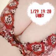 ヒメ日記 2026/01/29 21:08 投稿 いおり SUZUME