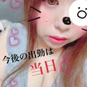 ヒメ日記 2025/04/23 17:05 投稿 りん 宮崎ちゃんこ都城店