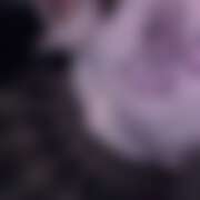 ヒメ日記 2025/12/01 17:57 投稿 さき CHERRY WEST(チェリーウエスト)