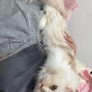 ヒメ日記 2025/03/08 08:18 投稿 きらら（極上SPコース対応） EIGHT（エイト）～8つのお約束と無限の可能性～