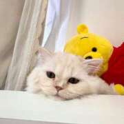 ヒメ日記 2025/04/08 21:09 投稿 きらら（極上SPコース対応） EIGHT（エイト）～8つのお約束と無限の可能性～