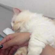 ヒメ日記 2025/08/25 15:18 投稿 きらら（極上SPコース対応） EIGHT（エイト）～8つのお約束と無限の可能性～