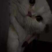 ヒメ日記 2025/09/08 08:18 投稿 きらら（極上SPコース対応） EIGHT（エイト）～8つのお約束と無限の可能性～