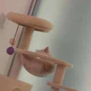 ヒメ日記 2025/10/13 11:18 投稿 きらら（極上SPコース対応） EIGHT（エイト）～8つのお約束と無限の可能性～