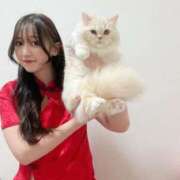 ヒメ日記 2026/04/08 18:08 投稿 きらら（極上SPコース対応） EIGHT（エイト）～8つのお約束と無限の可能性～