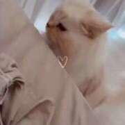 ヒメ日記 2026/04/20 23:38 投稿 きらら（極上SPコース対応） EIGHT（エイト）～8つのお約束と無限の可能性～