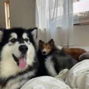 ヒメ日記 2025/09/17 13:51 投稿 みこと 日暮里・西日暮里サンキュー