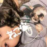 ヒメ日記 2025/09/18 23:51 投稿 みこと 日暮里・西日暮里サンキュー