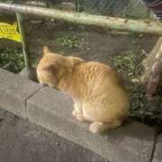 ヒメ日記 2025/10/29 09:02 投稿 みこと 日暮里・西日暮里サンキュー