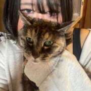 ヒメ日記 2026/02/19 15:51 投稿 みこと 日暮里・西日暮里サンキュー