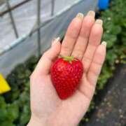 ヒメ日記 2025/05/04 19:45 投稿 よつば 全力！！乙女坂46(古町)