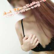 ヒメ日記 2025/06/13 11:31 投稿 ☆こと(29)☆ ◆プラウディア◆AAA級素人娘在籍店