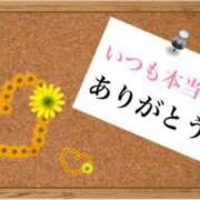 ヒメ日記 2025/04/24 23:18 投稿 優羽（ゆう） DIVA-ディーバ-【DIVAグループ】