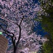 ヒメ日記 2025/04/13 13:31 投稿 ヒトミ マテリアル