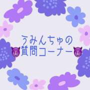 ヒメ日記 2023/12/23 17:26 投稿 うみ 千葉松戸ちゃんこ