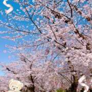 ヒメ日記 2025/04/05 16:21 投稿 ひなこ ハロウィン