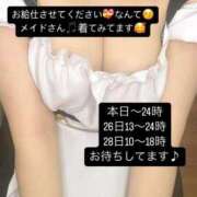 ヒメ日記 2025/02/24 20:25 投稿 桃田ほむら 池袋パラダイス