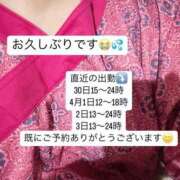 ヒメ日記 2025/03/26 22:24 投稿 桃田ほむら 池袋パラダイス