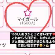 ヒメ日記 2025/04/14 19:19 投稿 桃田ほむら 池袋パラダイス