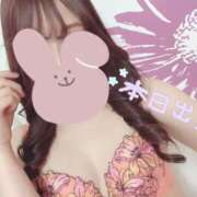 ヒメ日記 2025/03/25 12:44 投稿 れあ One More奥様　蒲田店