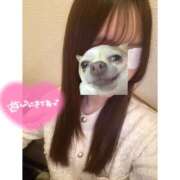 ヒメ日記 2025/03/22 11:28 投稿 笠原もも 五反田はじめてのエステ